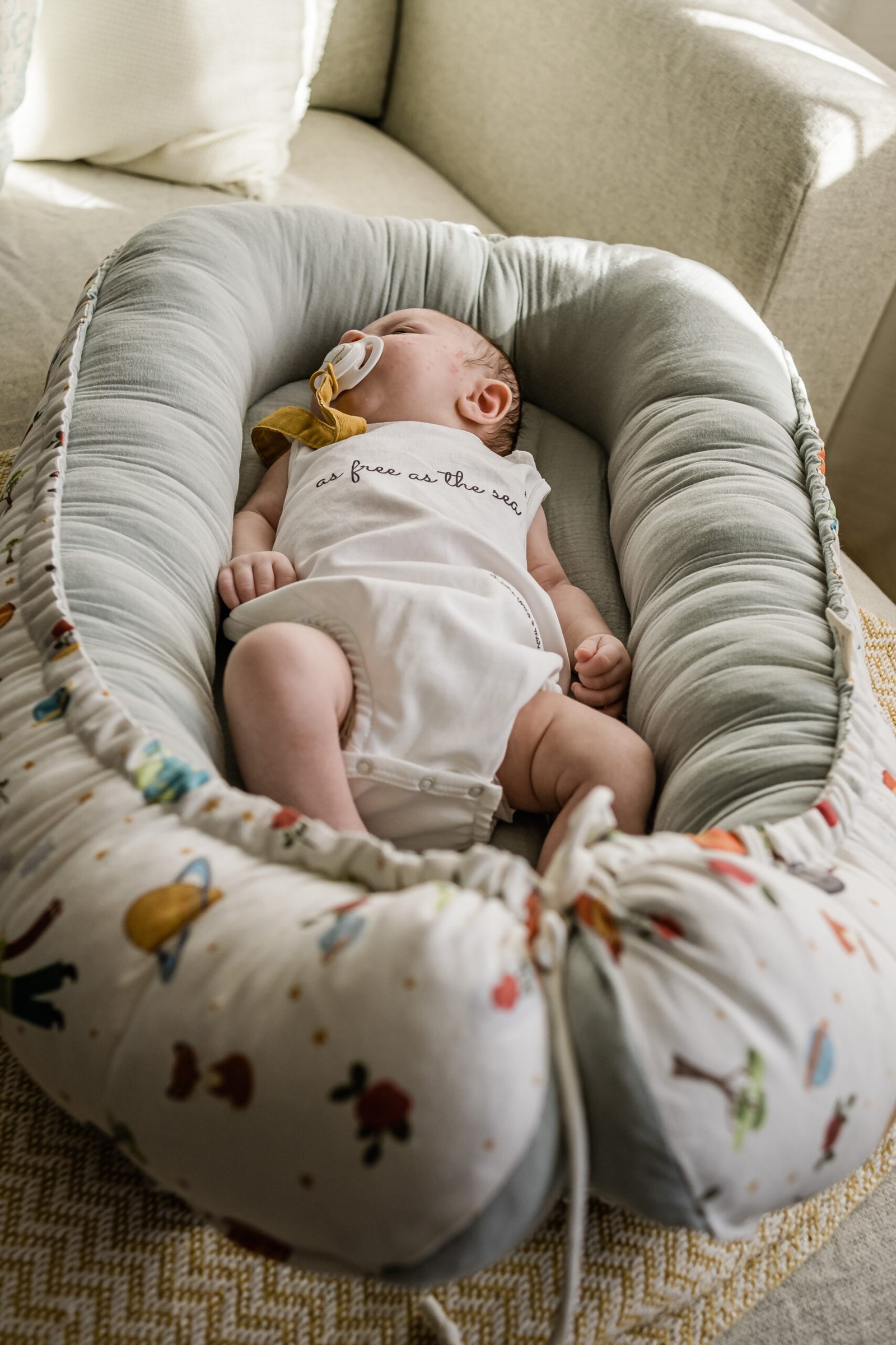 Ninho Principezinho - Image 6